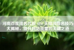 河南百度排名代做 SEO 关键词排名技巧大揭秘，提升网站流量的关键之道