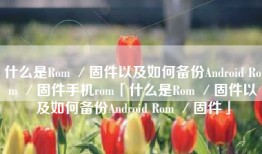 什么是Rom ／固件以及如何备份Android Rom ／固件手机rom「什么是Rom ／固件以及如何备份Android Rom ／固件」