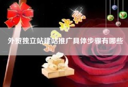 外贸独立站建站推广具体步骤有哪些