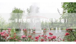 gtr手机壁纸（gtr手机壁纸正面）