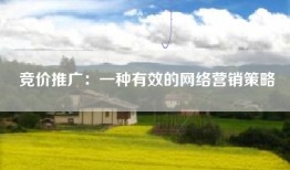 竞价推广：一种有效的网络营销策略