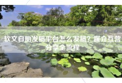 软文自助发稿平台怎么发稿？媒介互营分享全流程