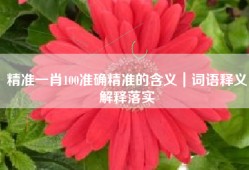 精准一肖100准确精准的含义｜词语释义解释落实