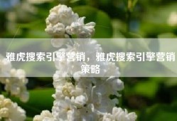 雅虎搜索引擎营销，雅虎搜索引擎营销策略