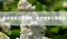 雅虎搜索引擎营销，雅虎搜索引擎营销策略