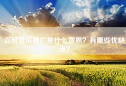 百度竞价推广是什么意思？有哪些优缺点？
