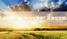 百度竞价推广是什么意思？有哪些优缺点？