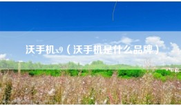 沃手机x9（沃手机是什么品牌）