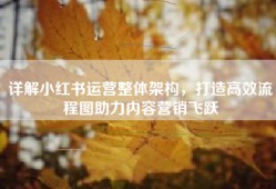 详解小红书运营整体架构，打造高效流程图助力内容营销飞跃