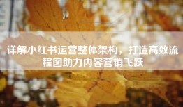 详解小红书运营整体架构，打造高效流程图助力内容营销飞跃