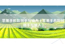 苹果手机如何手写输入（苹果手机如何调手写输入）