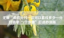 无痕“微信分付一次可以套线多少—分付简单“4个步骤”打造秒到账