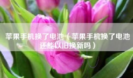 苹果手机换了电池（苹果手机换了电池还能以旧换新吗）