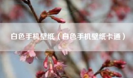 白色手机壁纸（白色手机壁纸卡通）
