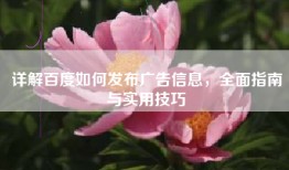 详解百度如何发布广告信息，全面指南与实用技巧