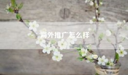 海外推广怎么样