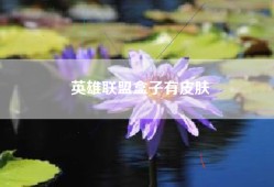 英雄联盟盒子有皮肤