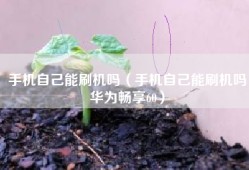 手机自己能刷机吗（手机自己能刷机吗华为畅享60）