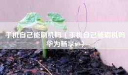 手机自己能刷机吗（手机自己能刷机吗华为畅享60）