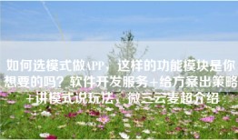 如何选模式做APP，这样的功能模块是你想要的吗？软件开发服务+给方案出策略+讲模式说玩法，微三云麦超介绍