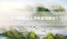 手机震动app（手机震动测试）