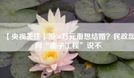 【央视关注】没30万元甭想结婚？民政部向“面子工程”说不