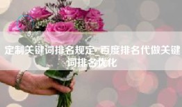 定制关键词排名规定_百度排名代做关键词排名优化