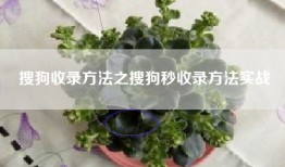 搜狗收录方法之搜狗秒收录方法实战