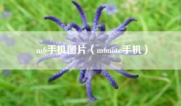 m6手机图片（m6note手机）