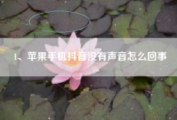 1、苹果手机抖音没有声音怎么回事