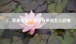 1、苹果手机抖音没有声音怎么回事