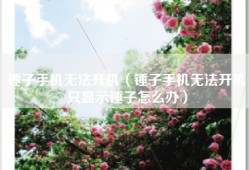 锤子手机无法开机（锤子手机无法开机只显示锤子怎么办）