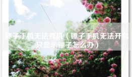 锤子手机无法开机（锤子手机无法开机只显示锤子怎么办）