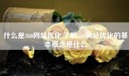 什么是360网站优化,了解360网站优化的基本概念是什么