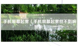 手机屏幕起雾（手机屏幕起雾但不影响显示）