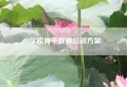 学校骨干教师培训方案