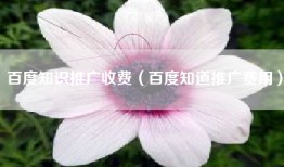 百度知识推广收费（百度知道推广费用）