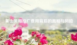 黄山黑帽推广费用背后的真相与风险