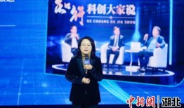 中新网湖北 湖北新闻网 武汉奋力打造具有全国影响力的科技创新高地