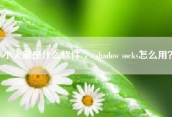 小火箭是什么软件 ， shadow socks怎么用？