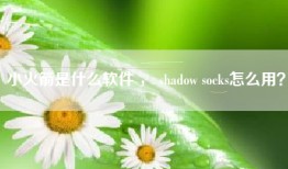 小火箭是什么软件 ， shadow socks怎么用？