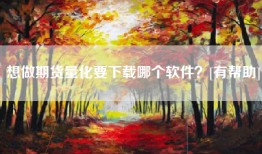 想做期货量化要下载哪个软件？[有帮助]