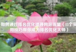 如何通过排名优化提升网站流量（15个实用技巧帮你成为排名优化大师）