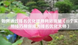 如何通过排名优化提升网站流量（15个实用技巧帮你成为排名优化大师）
