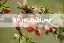 讲解几种主流蜘蛛池程序