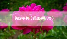 英国手机（英国手机号）