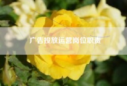 广告投放运营岗位职责