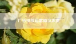 广告投放运营岗位职责