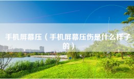 手机屏幕压（手机屏幕压伤是什么样子的）