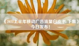 《2022上半年移动广告流量白皮书-下集》今日发布！
